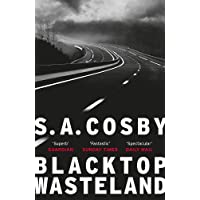 Blacktop Wasteland: one of the most thrilling and acclaimed crime novels of the year